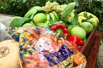 Reportaje gráfico Antonio Alí/Francisco Javier Santana y TA.