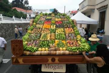 Reportaje gráfico Antonio Alí/Francisco Javier Santana y TA.