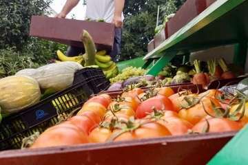 Reportaje gráfico Antonio Alí/Francisco Javier Santana y TA.