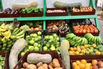 Reportaje gráfico Antonio Alí/Francisco Javier Santana y TA.