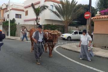 Reportaje gráfico Francisco Javier Santana