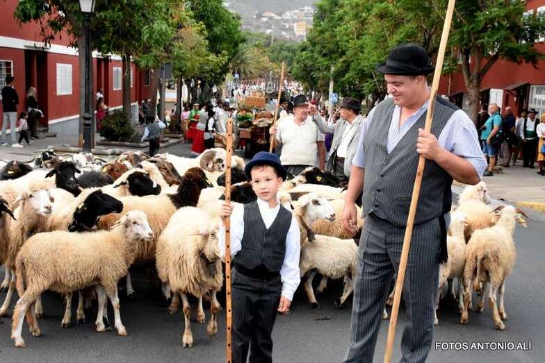 Cabeza de la romería mutitudinaria (Foto Antonio Alí)
