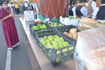 San Francisco sale de romería (Foto Francisco Javier Santana)