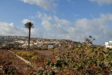 San Francisco sale de romería (Foto Francisco Javier Santana)