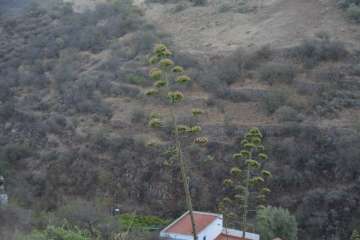 Cazadores inicias sus fiestas patronales (Francisco Javier Santana)