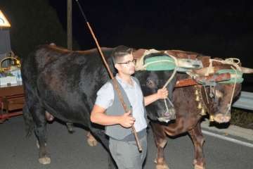 Reportaje gráfico Francisco Javier Santana/TA.