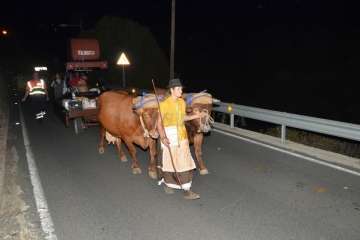 Reportaje gráfico Francisco Javier Santana/TA.