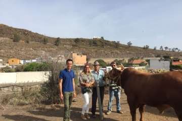 Feria y desfile del ganado, misa y procesión religiosa (Foto Francisco Javier Santana-TA)
