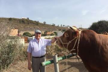 Feria y desfile del ganado, misa y procesión religiosa (Foto Francisco Javier Santana-TA)