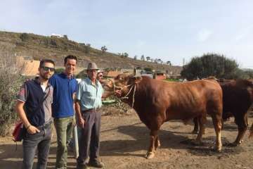 Feria y desfile del ganado, misa y procesión religiosa (Foto Francisco Javier Santana-TA)