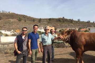 Feria y desfile del ganado, misa y procesión religiosa (Foto Francisco Javier Santana-TA)