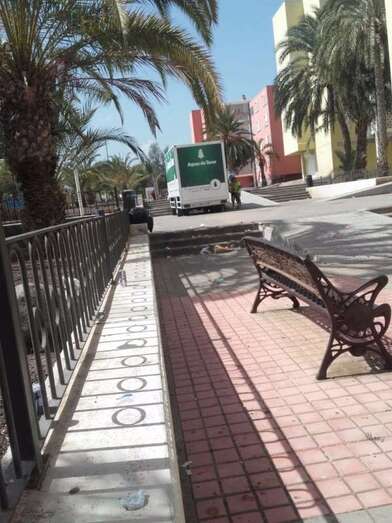 Camiones en el parque central de Las Remudas (Foto TA)