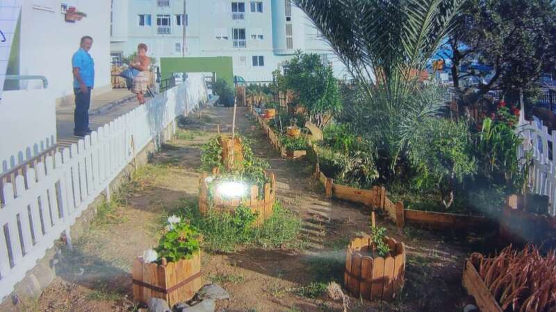 Jardines del bloque 82 de Jinámar (Foto TA)