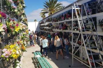 Los cementerios de San Juan y San Gregorio este miércoles, festividad de Todos los Santos (Foto Antonio Alí y Francisco Javier Santana)