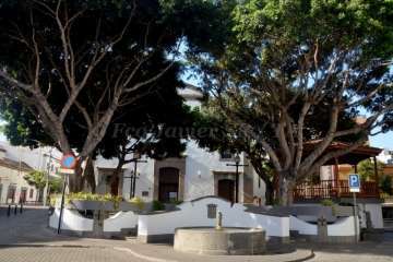 Presentación de las Fiestas de San Gregorio Taumaturgo 2017 (Foto TA y Francisco Javier Santana)
