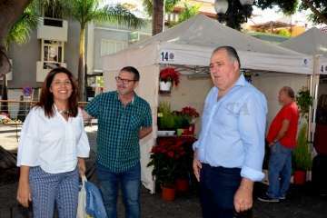 Feria de Artesanía de San Gregorio Taumaturgo 2017 (Foto Francisco Javier Santana-TA)