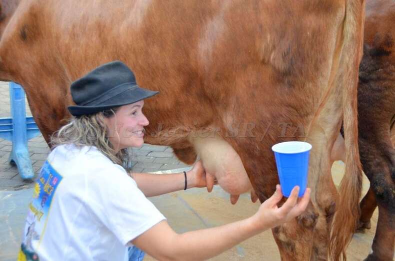 Loli ordeña una de sus vacas (Foto TA)