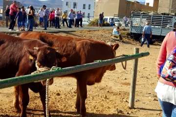 Los Llanos celebra el día grande de sus fiestas patronales (Foto Francisco J. Santana, Antonio Alí y TA)