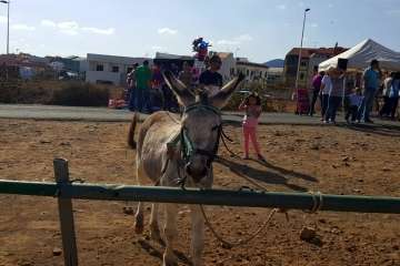 Los Llanos celebra el día grande de sus fiestas patronales (Foto Francisco J. Santana, Antonio Alí y TA)
