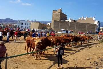 Los Llanos celebra el día grande de sus fiestas patronales (Foto Francisco J. Santana, Antonio Alí y TA)