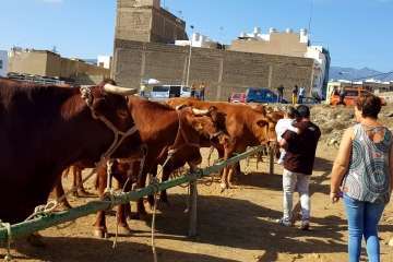 Los Llanos celebra el día grande de sus fiestas patronales (Foto Francisco J. Santana, Antonio Alí y TA)