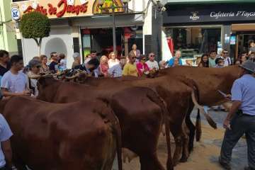 Los Llanos celebra el día grande de sus fiestas patronales (Foto Francisco J. Santana, Antonio Alí y TA)