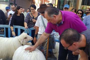 Los Llanos celebra el día grande de sus fiestas patronales (Foto Francisco J. Santana, Antonio Alí y TA)