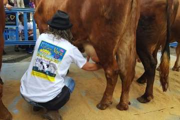 Los Llanos celebra el día grande de sus fiestas patronales (Foto Francisco J. Santana, Antonio Alí y TA)