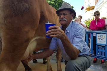 Los Llanos celebra el día grande de sus fiestas patronales (Foto Francisco J. Santana, Antonio Alí y TA)