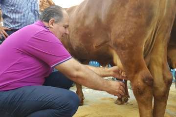 Los Llanos celebra el día grande de sus fiestas patronales (Foto Francisco J. Santana, Antonio Alí y TA)