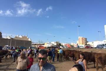 Los Llanos celebra el día grande de sus fiestas patronales (Foto Francisco J. Santana, Antonio Alí y TA)