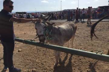 Los Llanos celebra el día grande de sus fiestas patronales (Foto Francisco J. Santana, Antonio Alí y TA)