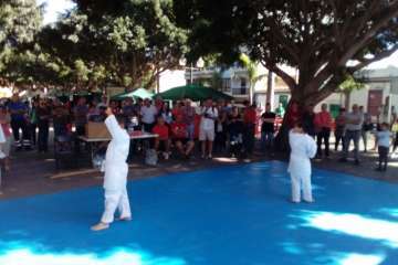 Los Llanos celebra el día grande de sus fiestas patronales (Foto Francisco J. Santana, Antonio Alí y TA)