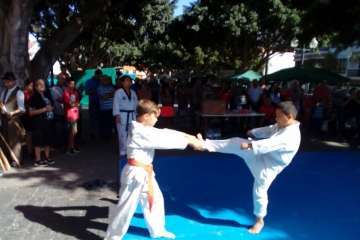 Los Llanos celebra el día grande de sus fiestas patronales (Foto Francisco J. Santana, Antonio Alí y TA)