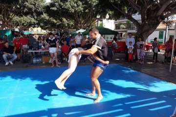 Los Llanos celebra el día grande de sus fiestas patronales (Foto Francisco J. Santana, Antonio Alí y TA)