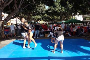 Los Llanos celebra el día grande de sus fiestas patronales (Foto Francisco J. Santana, Antonio Alí y TA)