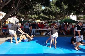 Los Llanos celebra el día grande de sus fiestas patronales (Foto Francisco J. Santana, Antonio Alí y TA)
