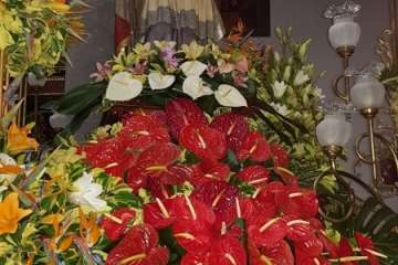 Misa y procesión religiosa de San Gregorio Taumaturgo en Telde (Foto Antonio Alí y TA)