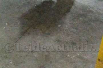 Los inquilinos de Visocan en El Caracol preparan una demanda (Foto TA)