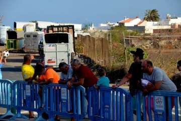 Las carreras de caballos toman la Avenida del Cabildo (TA y Francisco Javier Santana)