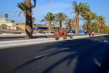 Las carreras de caballos toman la Avenida del Cabildo (TA y Francisco Javier Santana)