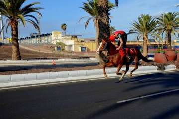 Las carreras de caballos toman la Avenida del Cabildo (TA y Francisco Javier Santana)