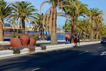Las carreras de caballos toman la Avenida del Cabildo (TA y Francisco Javier Santana)