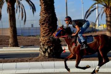 Las carreras de caballos toman la Avenida del Cabildo (TA y Francisco Javier Santana)