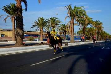 Las carreras de caballos toman la Avenida del Cabildo (TA y Francisco Javier Santana)