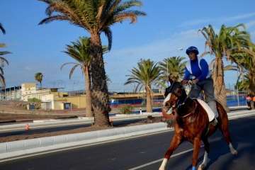 Las carreras de caballos toman la Avenida del Cabildo (TA y Francisco Javier Santana)