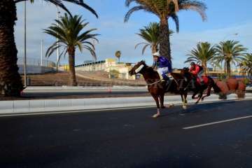 Las carreras de caballos toman la Avenida del Cabildo (TA y Francisco Javier Santana)
