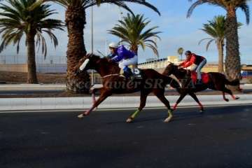 Las carreras de caballos toman la Avenida del Cabildo (TA y Francisco Javier Santana)