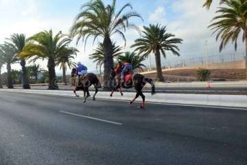 Las carreras de caballos toman la Avenida del Cabildo (TA y Francisco Javier Santana)