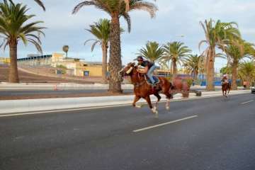 Las carreras de caballos toman la Avenida del Cabildo (TA y Francisco Javier Santana)